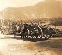 /album/castelobom-recordar/estrada-cidade-pereque-1949-jpg1/